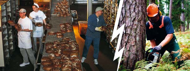 Delovni in zaščitni čevlji